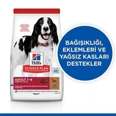 Hill's SCIENCE PLAN Adult Kuzulu ve Pirinçli Orta Irk Yetişkin Köpek Maması 2,5Kg - 2