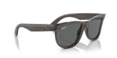 RAY-BAN 0RBR0502S 6707GR 53 - 4