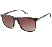 BLANCIA BC 1143 C2 58 - 1