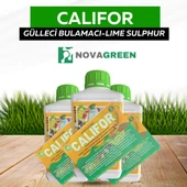 Gülleci Bulamacı 1 LT califor - 1