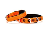 Doggie Softlu Köpek Boyun Tasması 1,5 cm x 35 cm Turuncu - 1