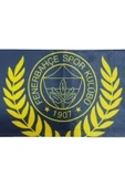 Fenerbahçe Orijinal Lisanslı Since 1907 Fenerbahçe Şal Atkı Kanarya Baskılı Ahşap Kutulu - 10