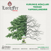 LORDFER SPECIAL 5 LİTRE - 1