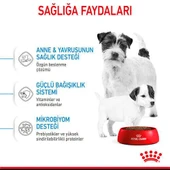 Royal Canin Mini Starter Küçük Irk Anne ve Yavru Köpek Maması 4 Kg - 4