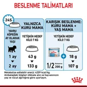 Royal Canin Mini Starter Küçük Irk Anne ve Yavru Köpek Maması 4 Kg - 7