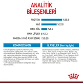 Royal Canin Mini Starter Küçük Irk Anne ve Yavru Köpek Maması 4 Kg - 6