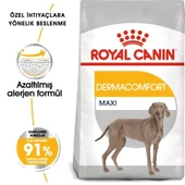 Royal Canin Maxi Dermacomfort Yetişkin Köpek Maması 12 Kg thumbnail 2