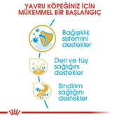 Royal Canin Shih Tzu Puppy Yavru Köpek Maması 1.5 Kg - 5
