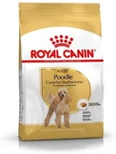 Royal Canin Poodle Adult Köpek Maması 3 Kg thumbnail 1