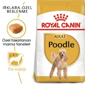 Royal Canin Poodle Adult Köpek Maması 3 Kg thumbnail 2