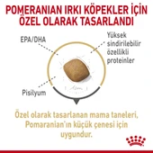 Royal Canin Pomeranian Yetişkin Köpek Maması 1,5 Kg - 4