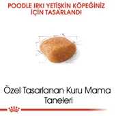 Royal Canin Poodle Adult Köpek Maması 3 Kg thumbnail 3