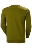 Helly Hansen  LOGO CREW SWEAT - 2