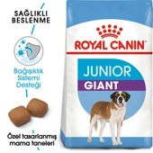 Royal Canin Giant Junior Dev Irk Yavru Köpek Maması 15 Kg - 2