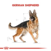 Royal Canin Alman Kurtları İçin Yetişkin Köpek Maması 11 kg thumbnail 4