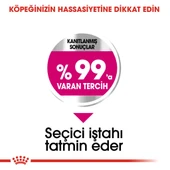 Royal Canin Mini Exigent Köpek Maması 3 Kg thumbnail 4