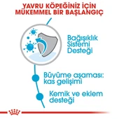 Royal Canin Giant Junior Dev Irk Yavru Köpek Maması 15 Kg - 5