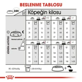 Royal Canin Mini Exigent Köpek Maması 3 Kg thumbnail 6