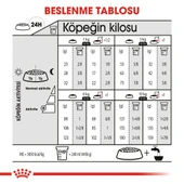 Royal Canin Mini Sterilised Kısır Köpek Maması 3 Kg thumbnail 6