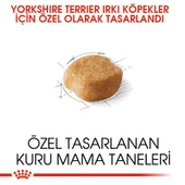 Royal Canin Yorkshire Terrier Köpek Maması 1,5 kg - 3