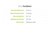 ByKurt Sunagri Mor Reyhan Tohumu - Aromatik Mor Renkli Bahçeler İçin Çekici ve Lezzetli - 5