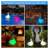 Greentech Güneş Enerjili Renk Değiştiren Ledli Şişme Kuğu / GT-SL24 - 9