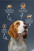 REFLEX Kuzulu Yetişkin Köpek Maması 15 Kg - 1