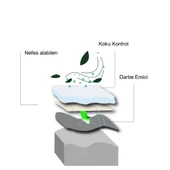 BG192 | Yumuşak Masaj Noktalı, Memory Foam Ayakkabı Tabanı, Klasik Ayakkabılar İçin İç Tabanlık - 5