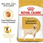 Royal Canin Labradorlar İçin yetişkin Köpek Maması 12 kg - 2