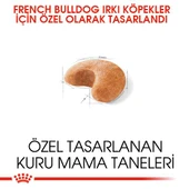 Royal Canin French Bulldog Yetişkin Köpek Maması 3 kg - 3