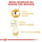 Royal Canin British Shorthair Yaş Kedi Maması 85 Gr - 5