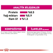 Royal Canin Exigent Köpek Yaş Maması 85 Gr - 7