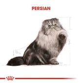 Royal Canin Pouch Persian İran Kedilerine Özel Yaş Maması 85 Gr thumbnail 5