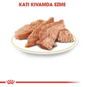 Royal Canin Pouch Persian İran Kedilerine Özel Yaş Maması 85 Gr thumbnail 3