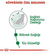 Royal Canin Gravy Ageing +12 Köpek Maması 85 Gr - 5