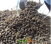 10 Kg 15 15 15 Kompoze Azot Fosfor Potasyum Kükürt Çinko Gübre - 2