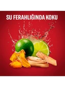 Old Spice WhiteWater Stick Roll-On Men/Erkek Deodorant 50ML (6 Lı Set) - 6