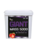 Zeus Nutrition MassGainer 5000 Gr-Çilek Aromalı - 1
