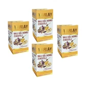 Varlay Ballı Gül Hatmili Zencefilli Macun 450 gr 2 Adet - 4
