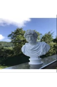 CANEREGE Roma İmparatoru Marcus Aurelius Dekoratif Obje Kitaplık Dekor Hediyelik Biblo thumbnail 1