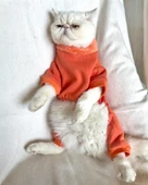 Puanti Kalın Penye Kedi Tulum Pijama thumbnail 2