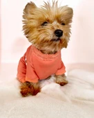 Puanti Kalın Penye Köpek Tulum Pijama - 6