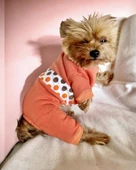 Puanti Kalın Penye Köpek Tulum Pijama - 1