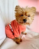 Puanti Kalın Penye Köpek Tulum Pijama - 5