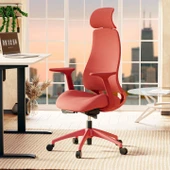 Lizbon Ergonomik Çalışma Koltuğu - 1