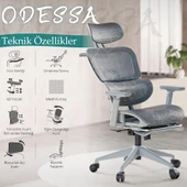 Odessa Fonksiyonel Çalışma Koltuğu - 2