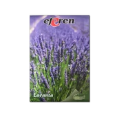 Lavanta Tohumu - Çok Yıllık Aromatik Parfüm ve Kozmetik Endüstrisi İçin İdeal thumbnail 1