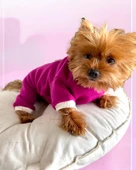 Foxie Polar Köpek Tulum Pijama - 11