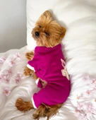 Foxie Polar Köpek Tulum Pijama - 6