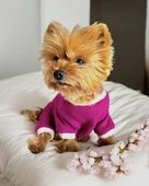 Foxie Polar Köpek Tulum Pijama - 4